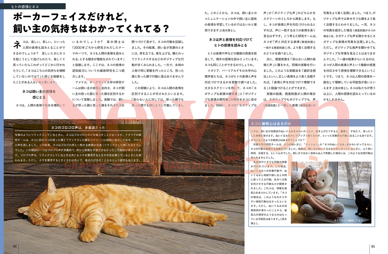 サムネイル画像2
