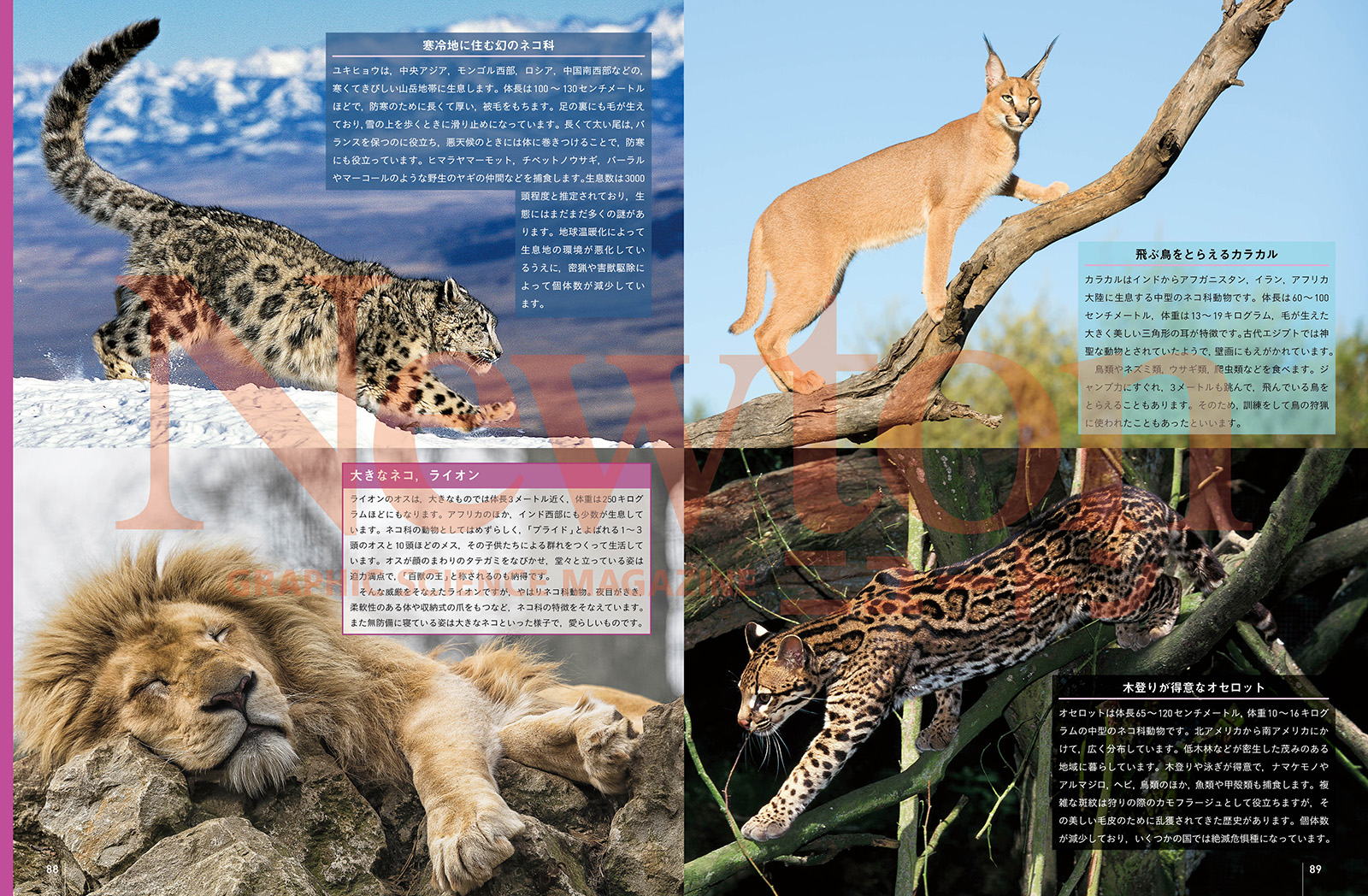 サムネイル画像3