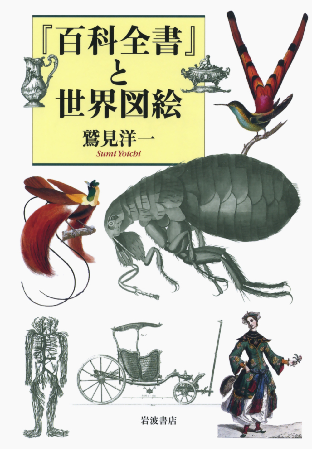 メイン画像