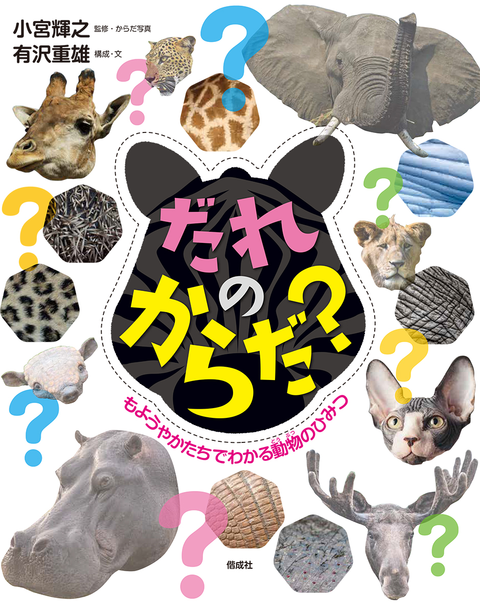 メイン画像