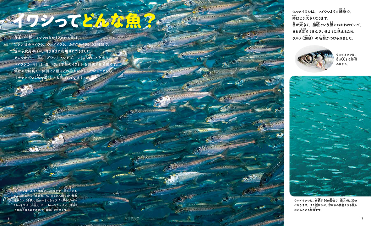 サムネイル画像1