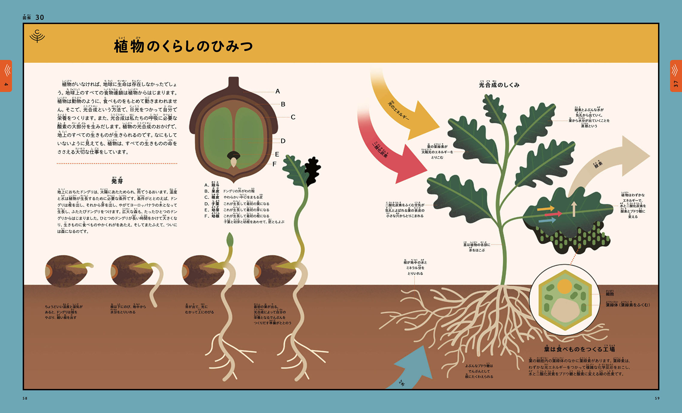 サムネイル画像2