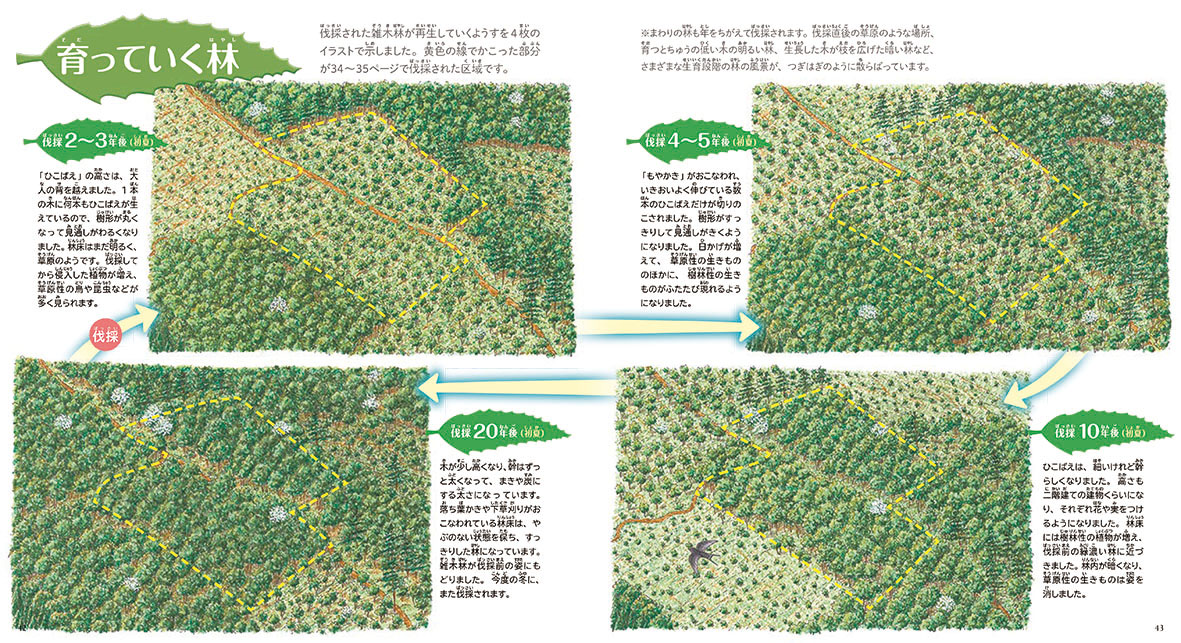 サムネイル画像2