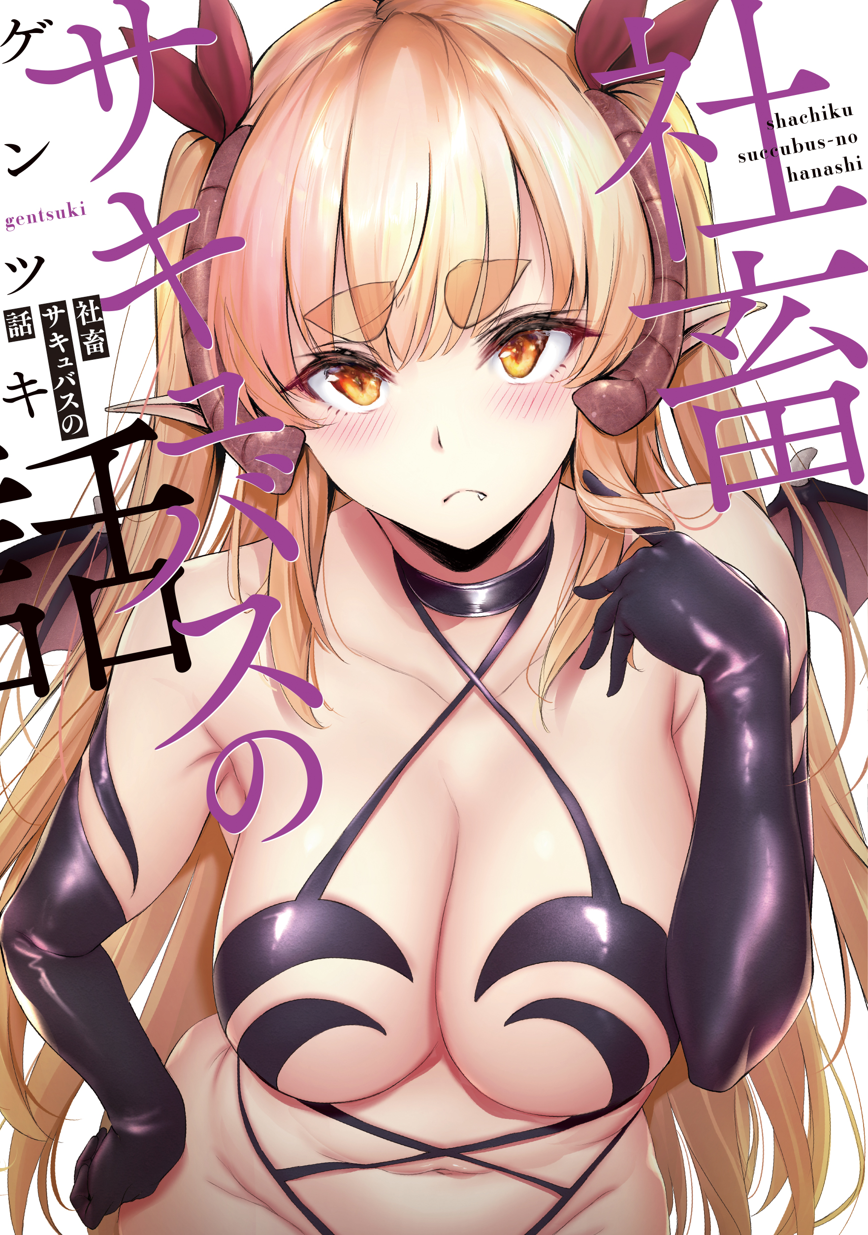 メイン画像