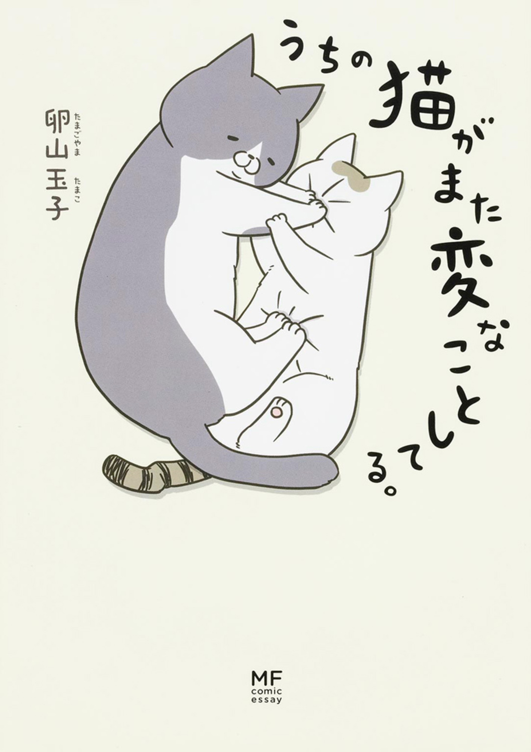 メイン画像