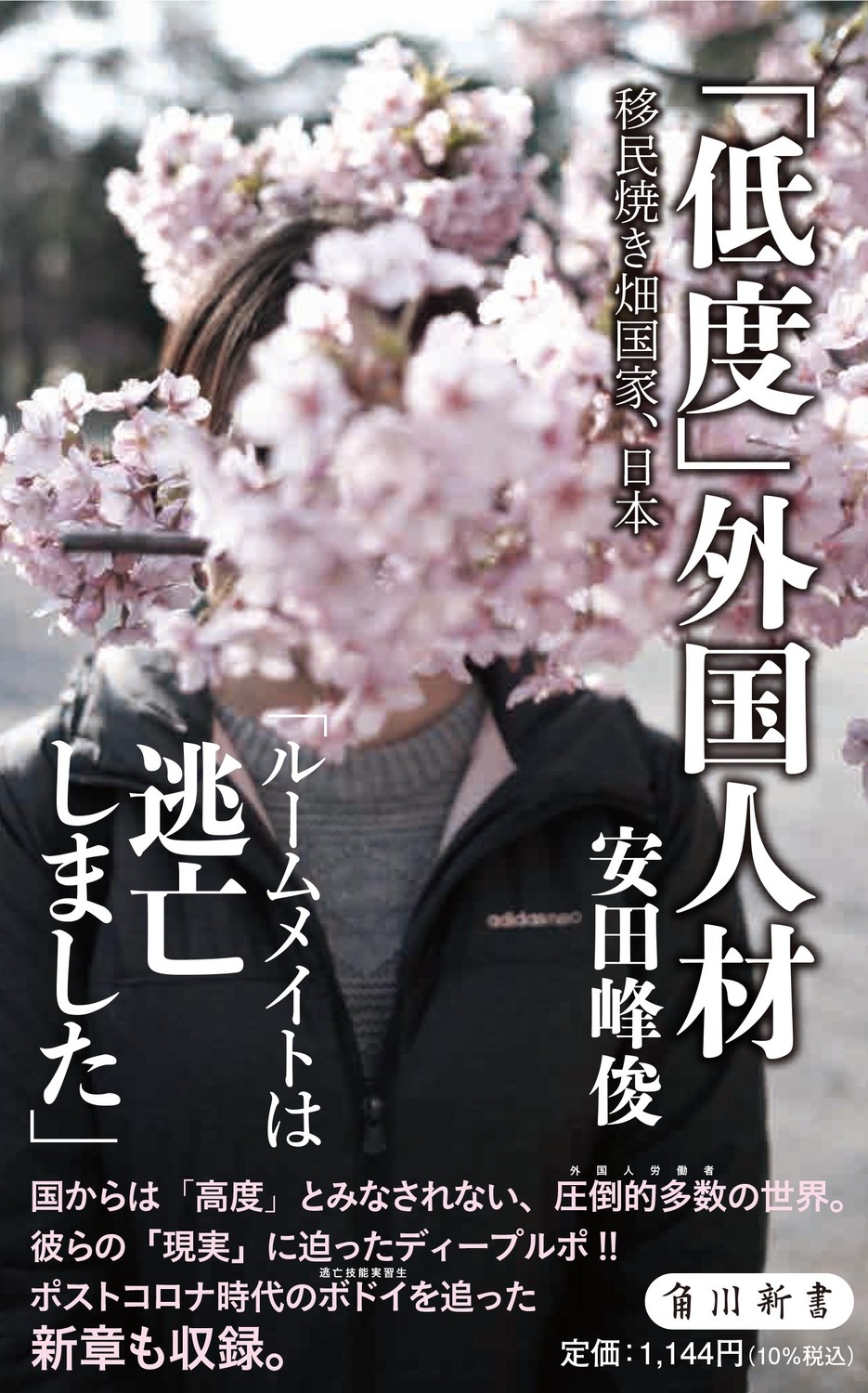メイン画像