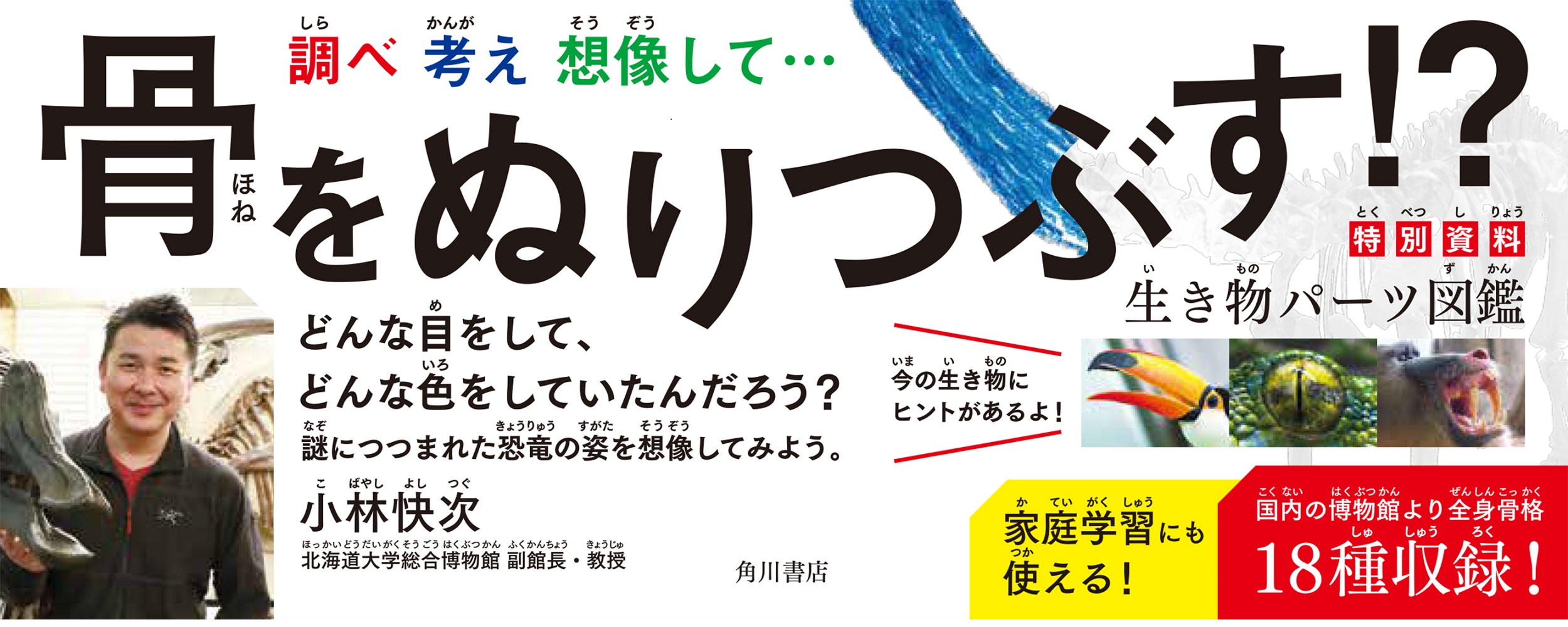 サムネイル画像5
