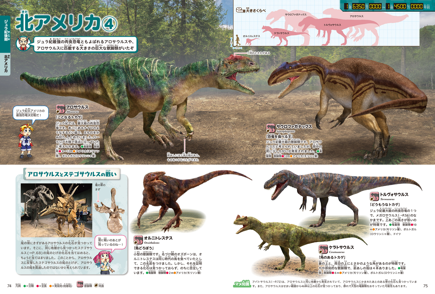 サムネイル画像5
