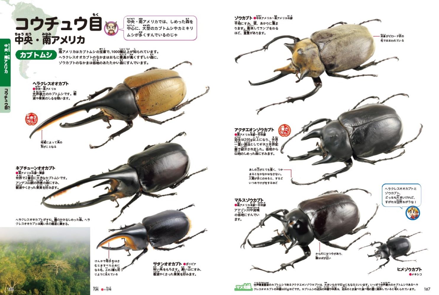 サムネイル画像4