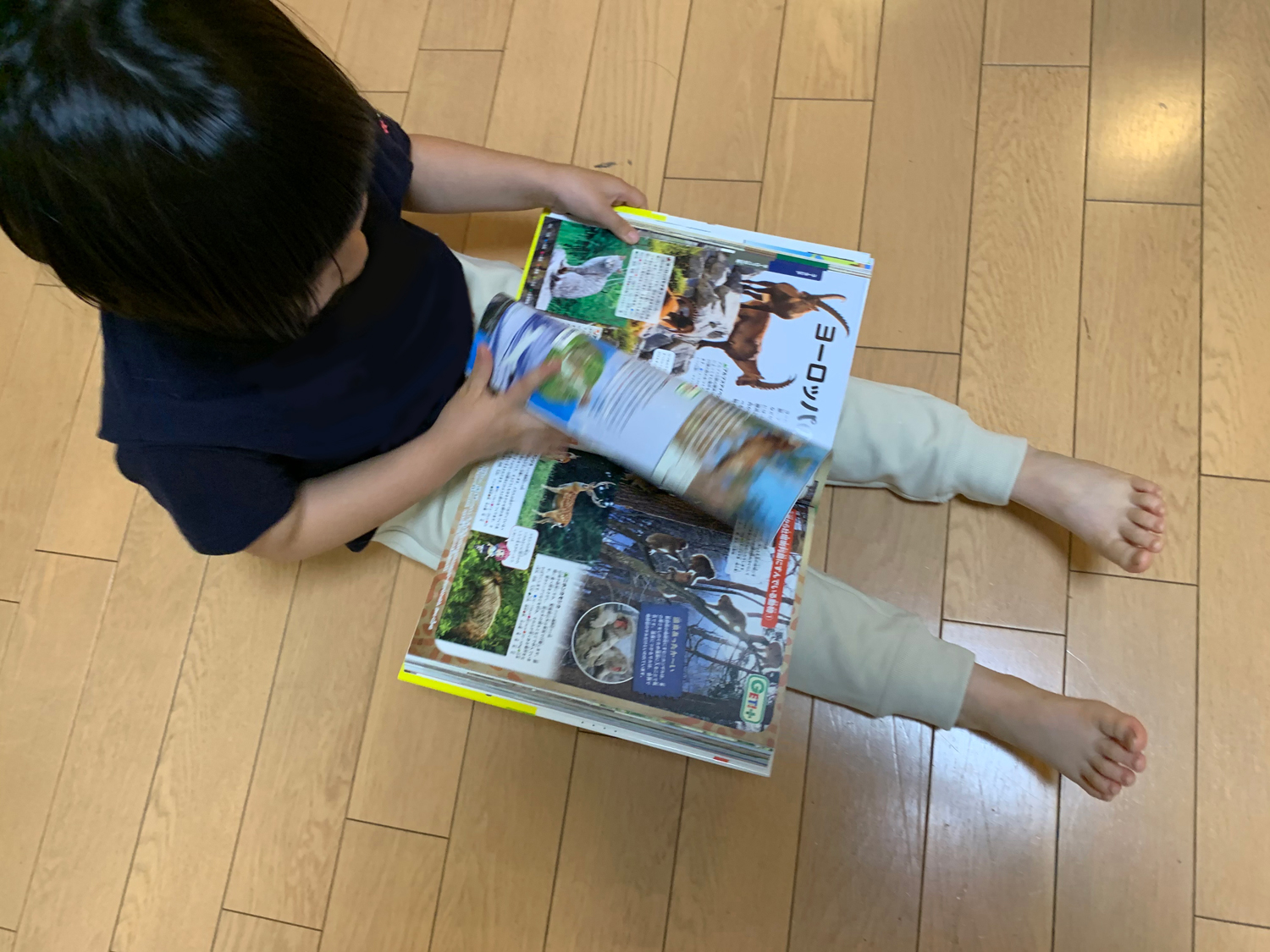 サムネイル画像1