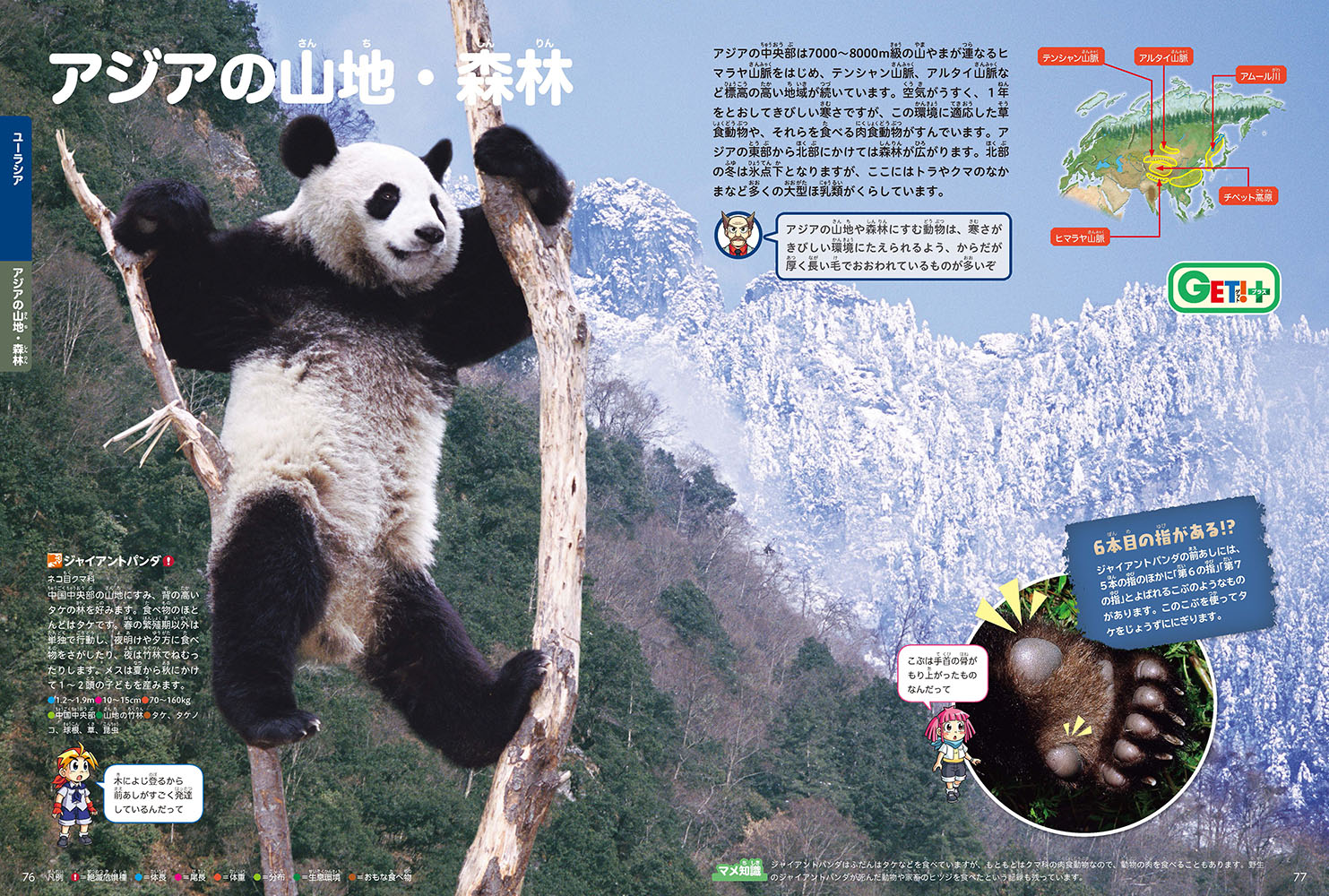 サムネイル画像4