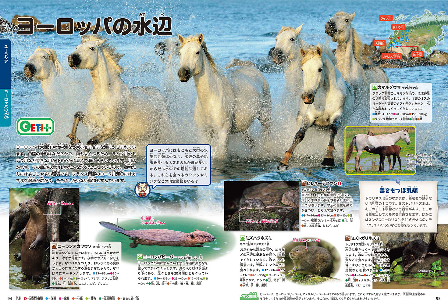 サムネイル画像5