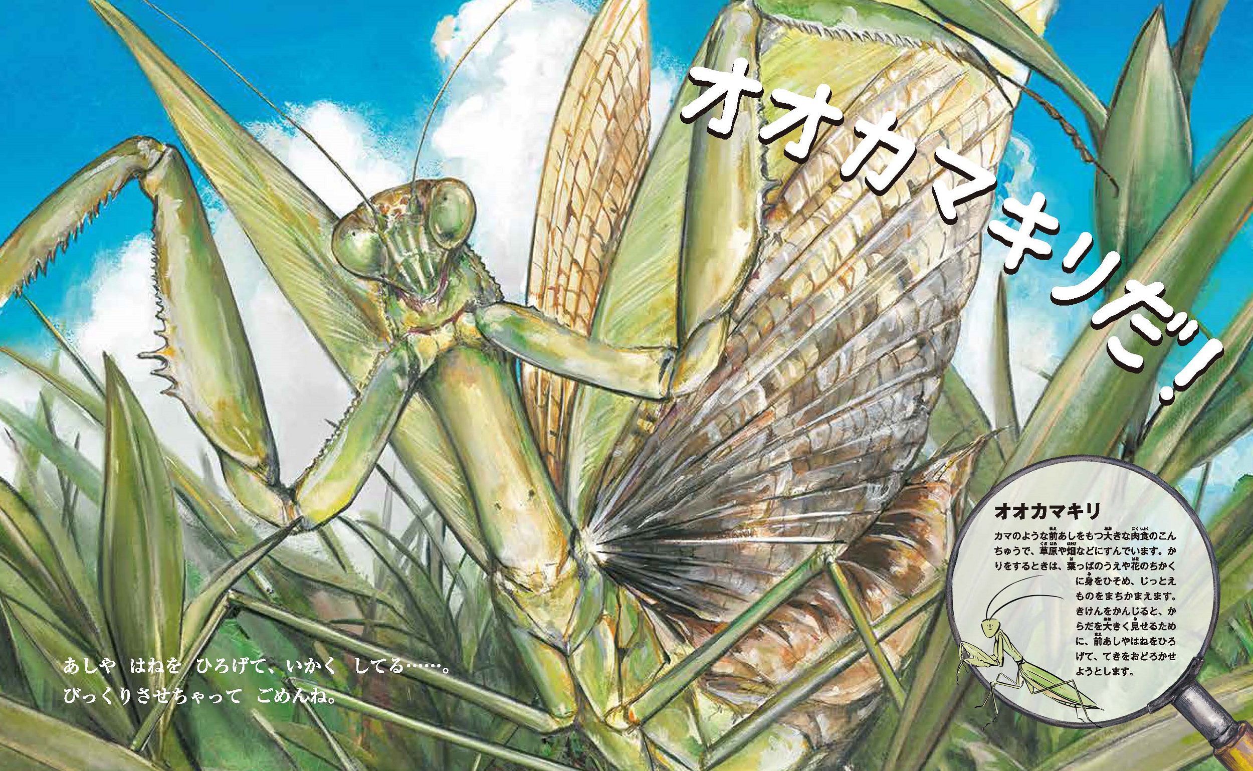 サムネイル画像2