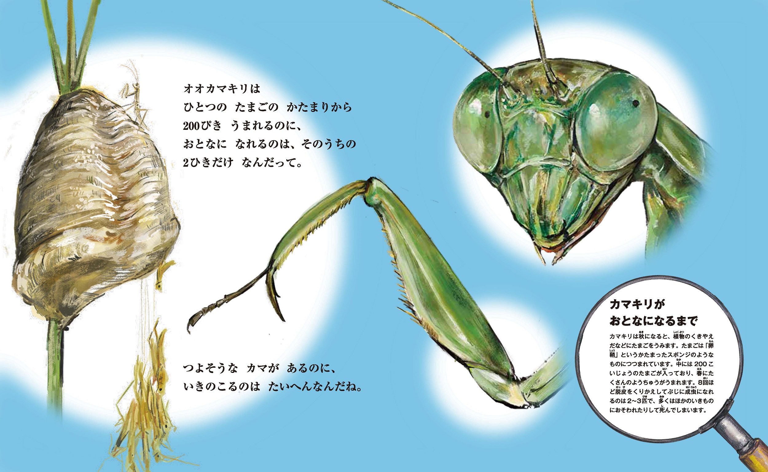 サムネイル画像3