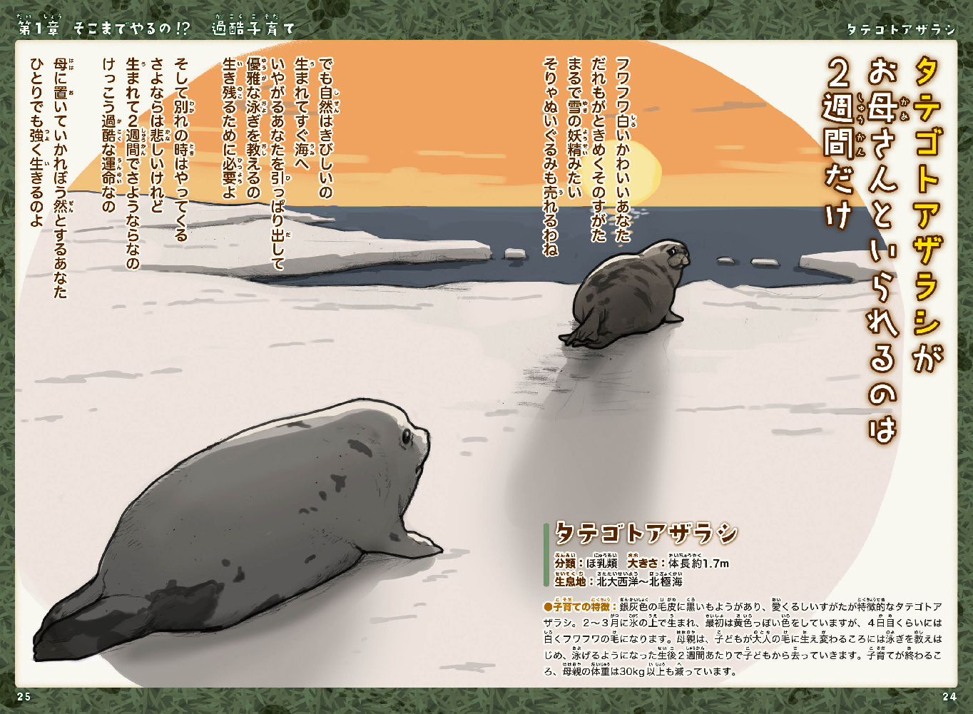 サムネイル画像4