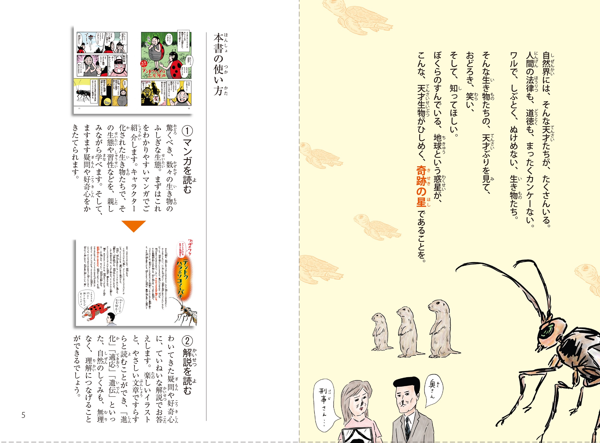 サムネイル画像3
