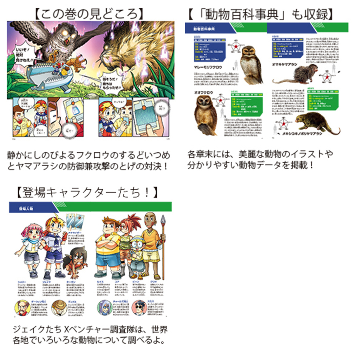 サムネイル画像3