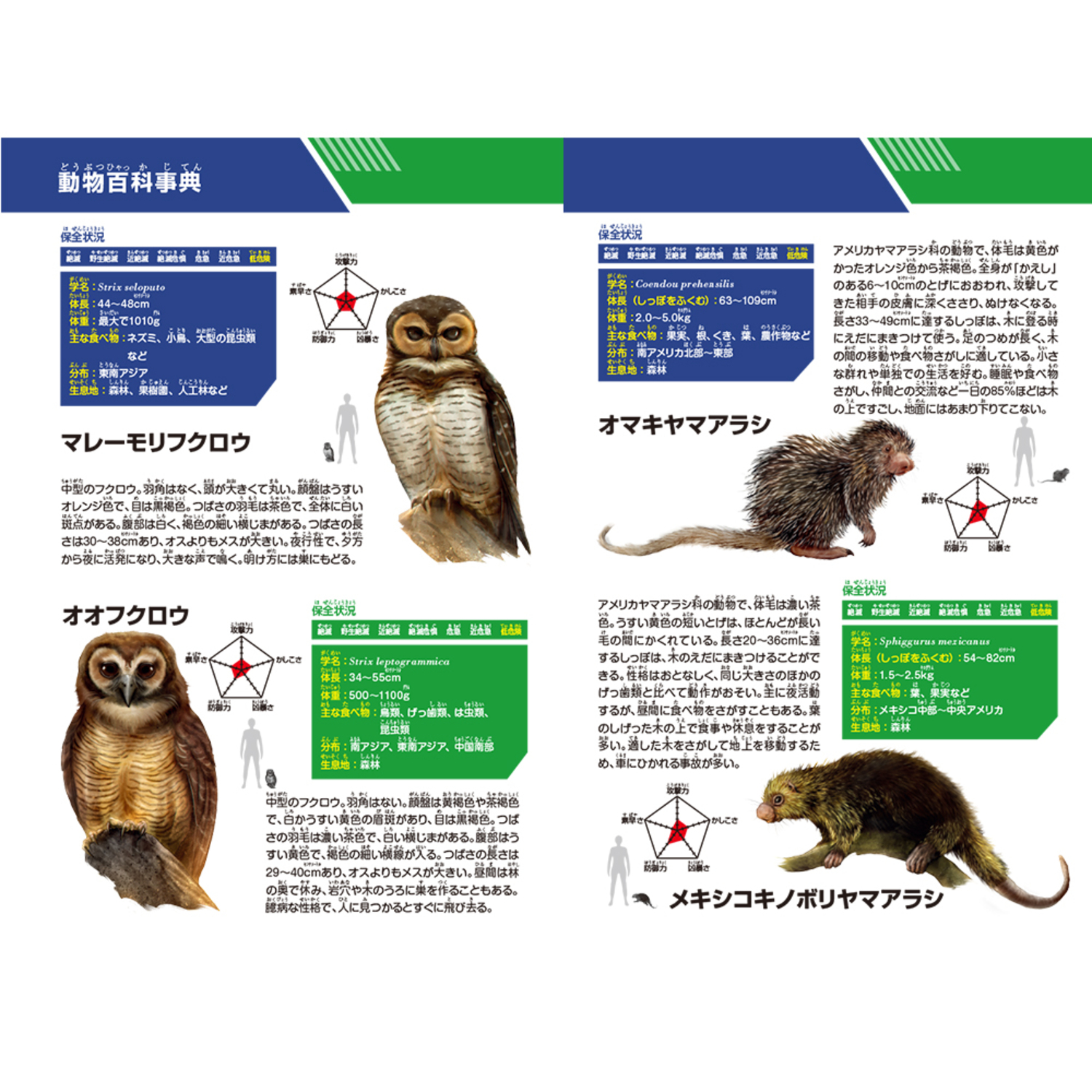 サムネイル画像7