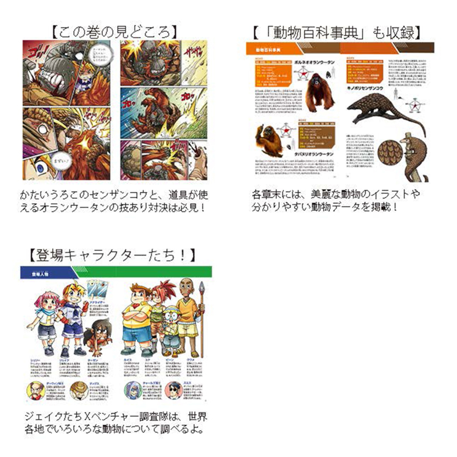 サムネイル画像3