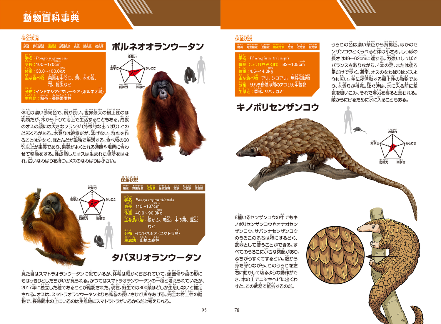 サムネイル画像7