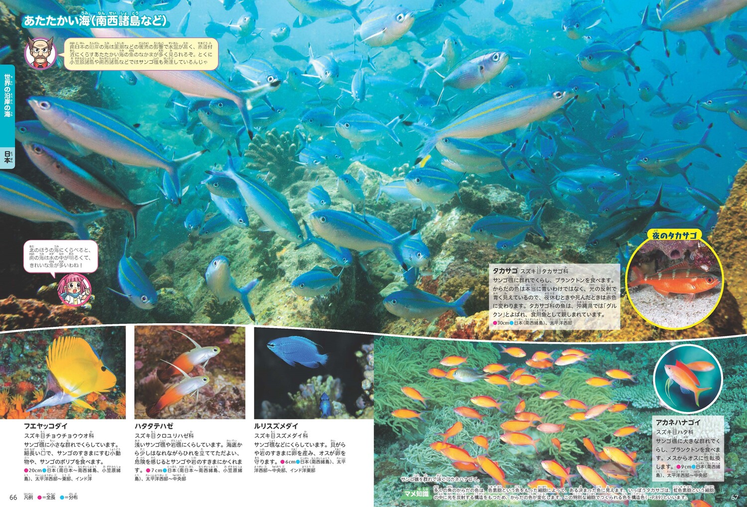サムネイル画像3