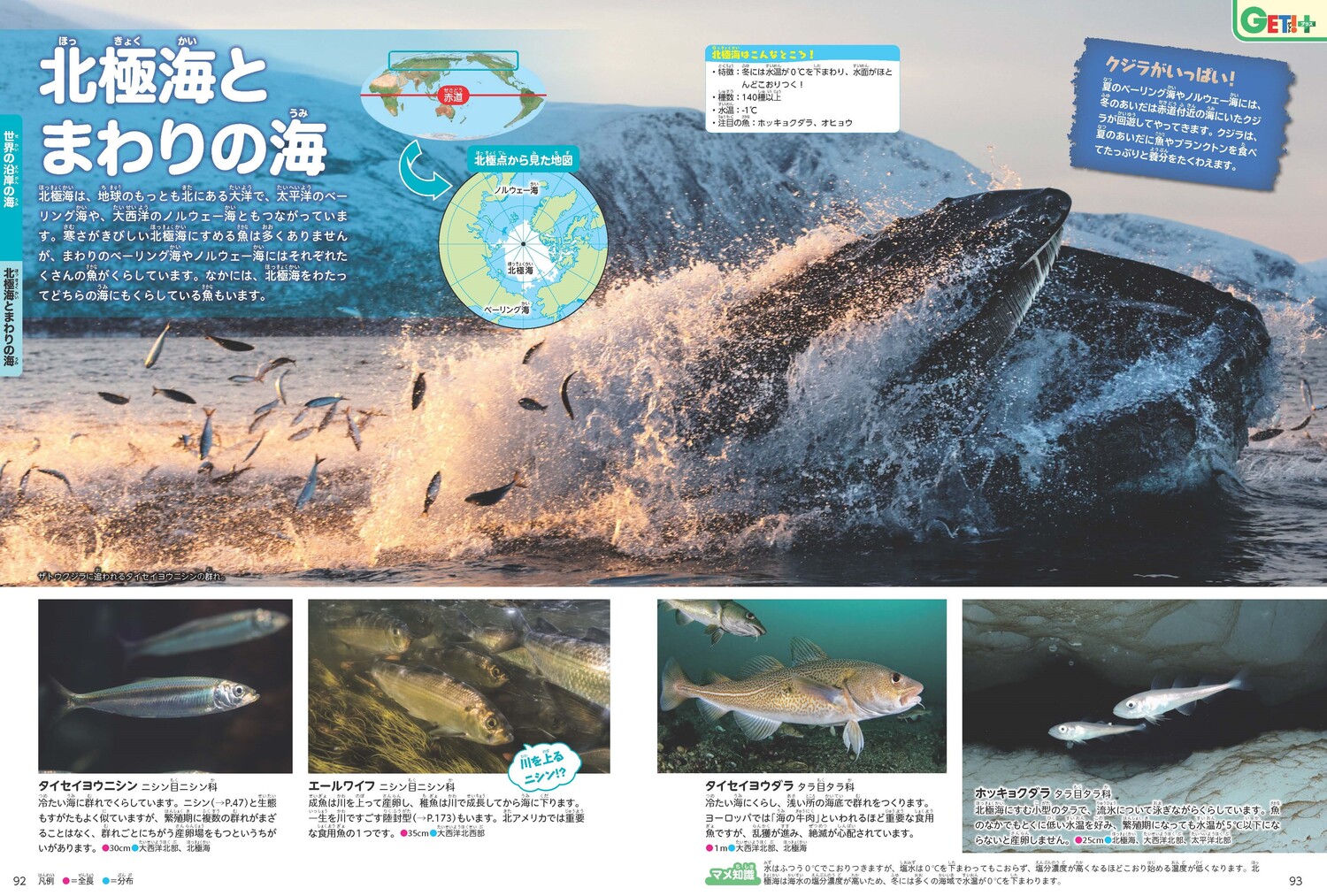 サムネイル画像4