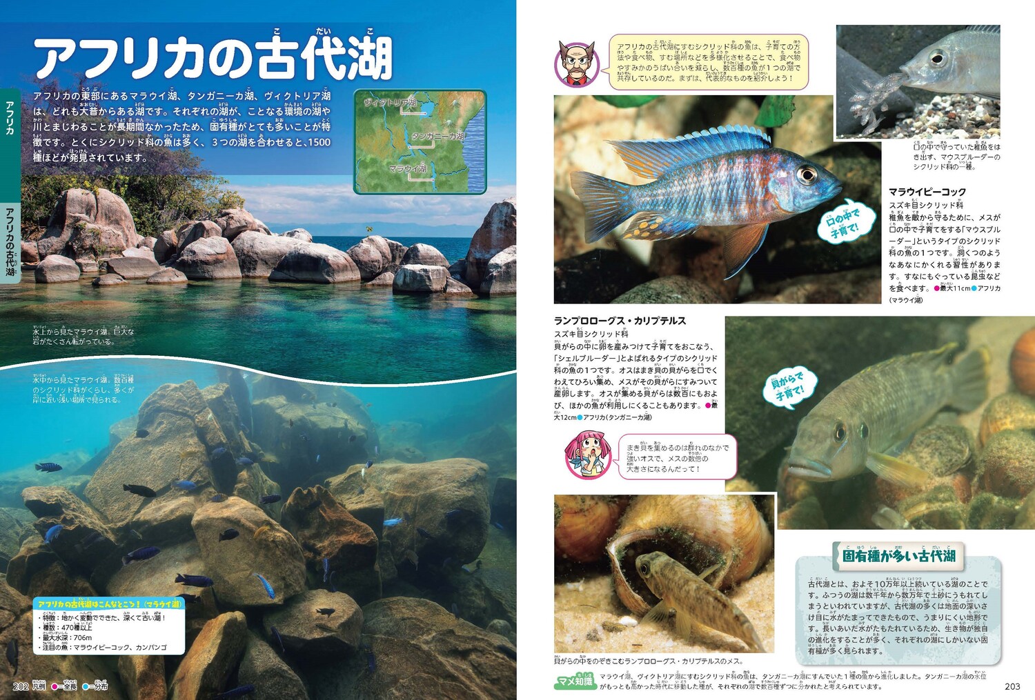 サムネイル画像5