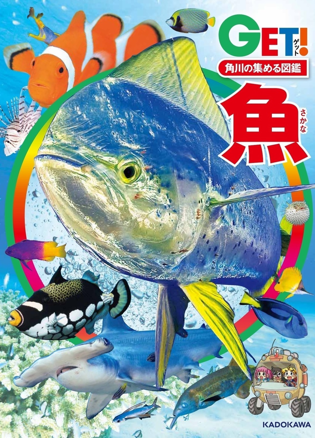メイン画像