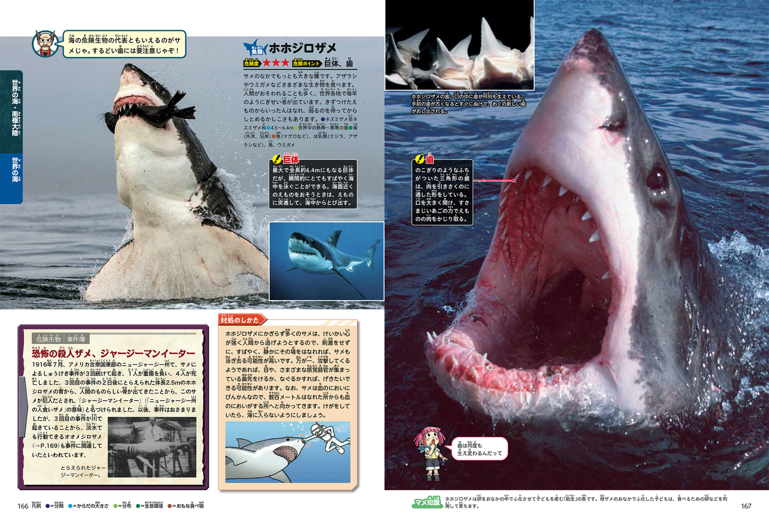 サムネイル画像3