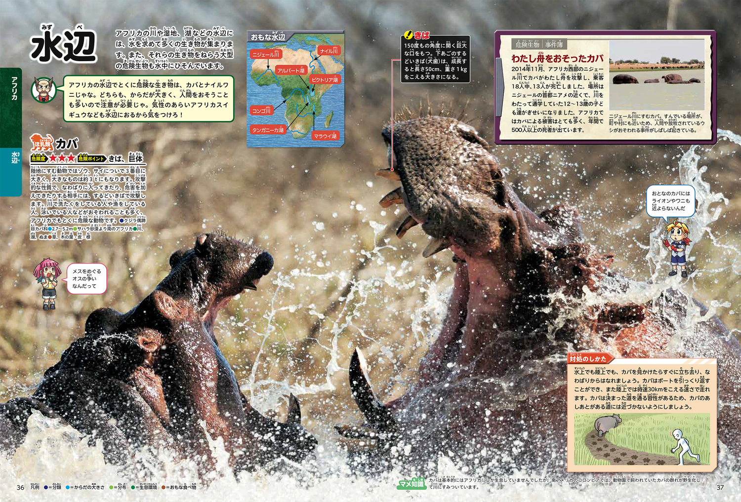 サムネイル画像4
