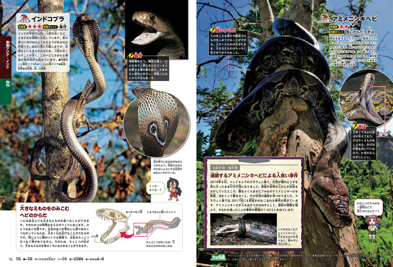 サムネイル画像5