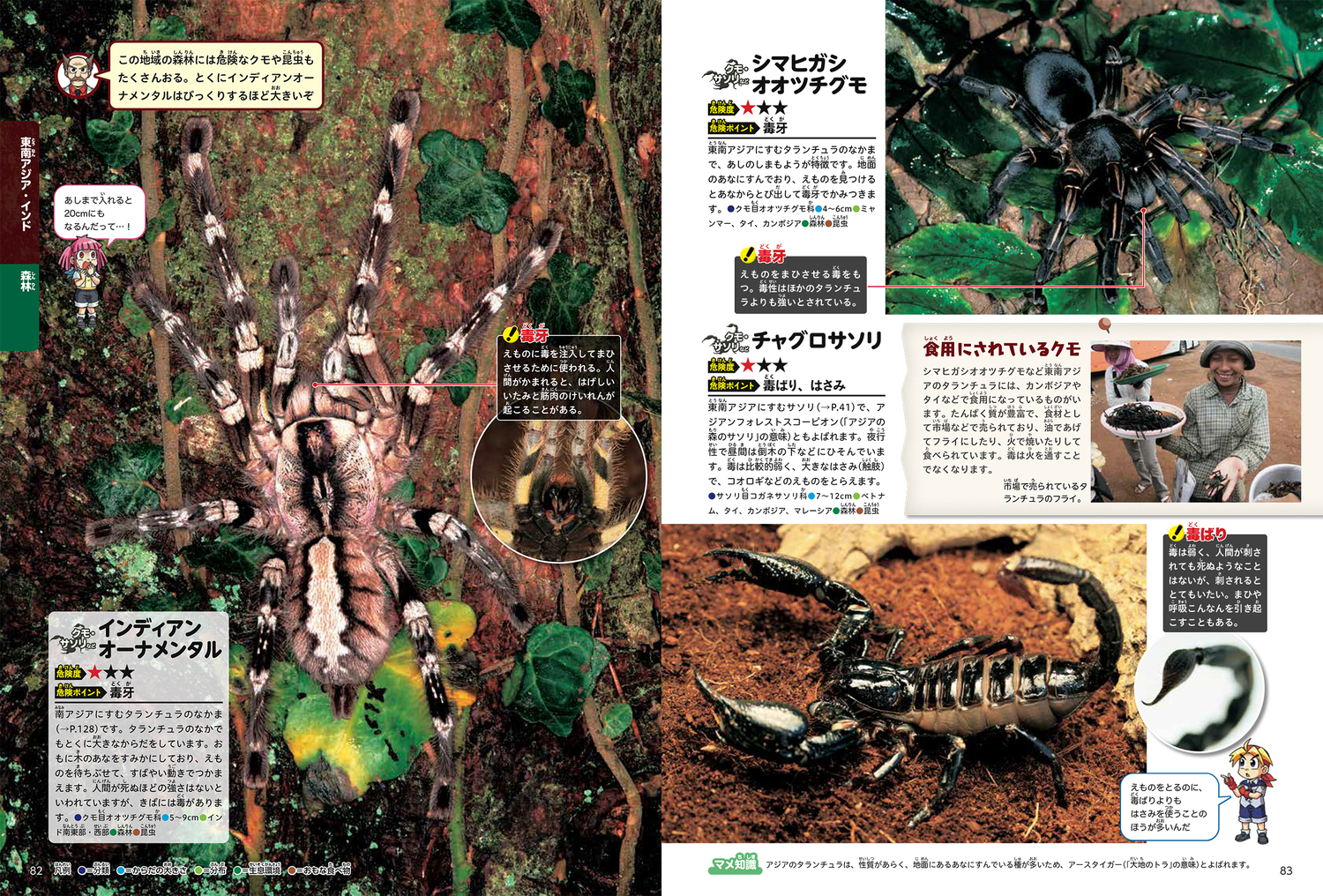 サムネイル画像6