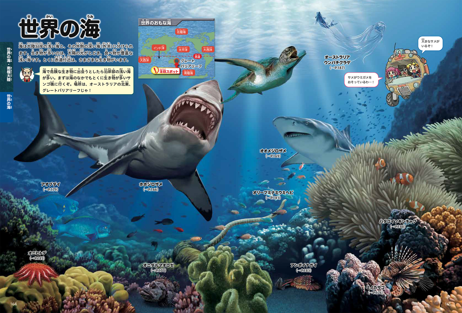 サムネイル画像8