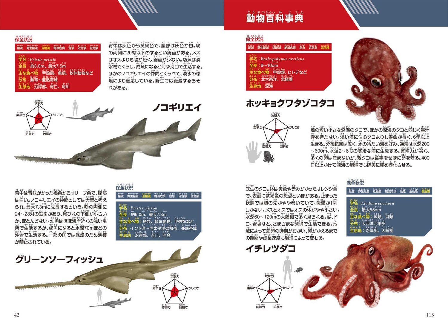 サムネイル画像7