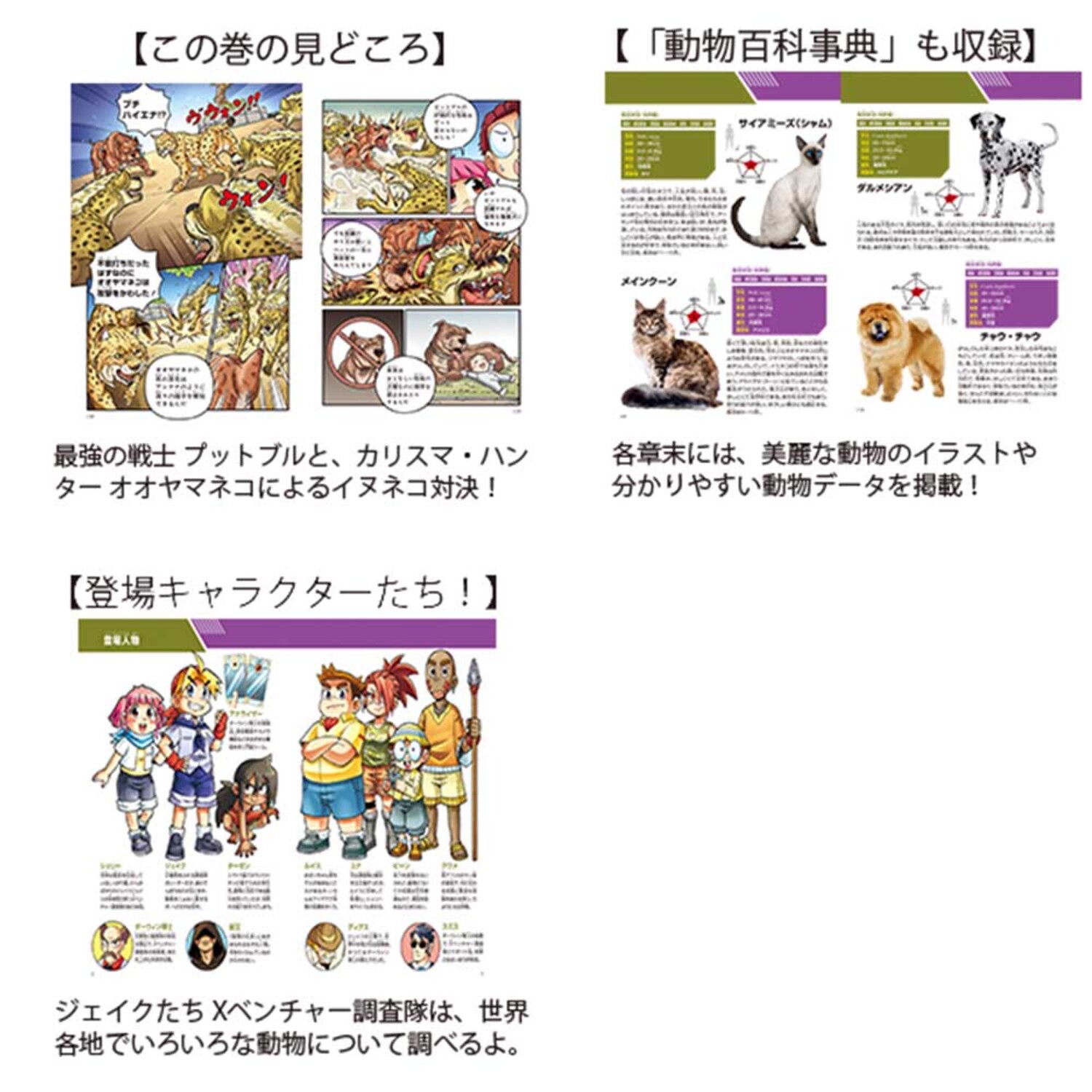 サムネイル画像3
