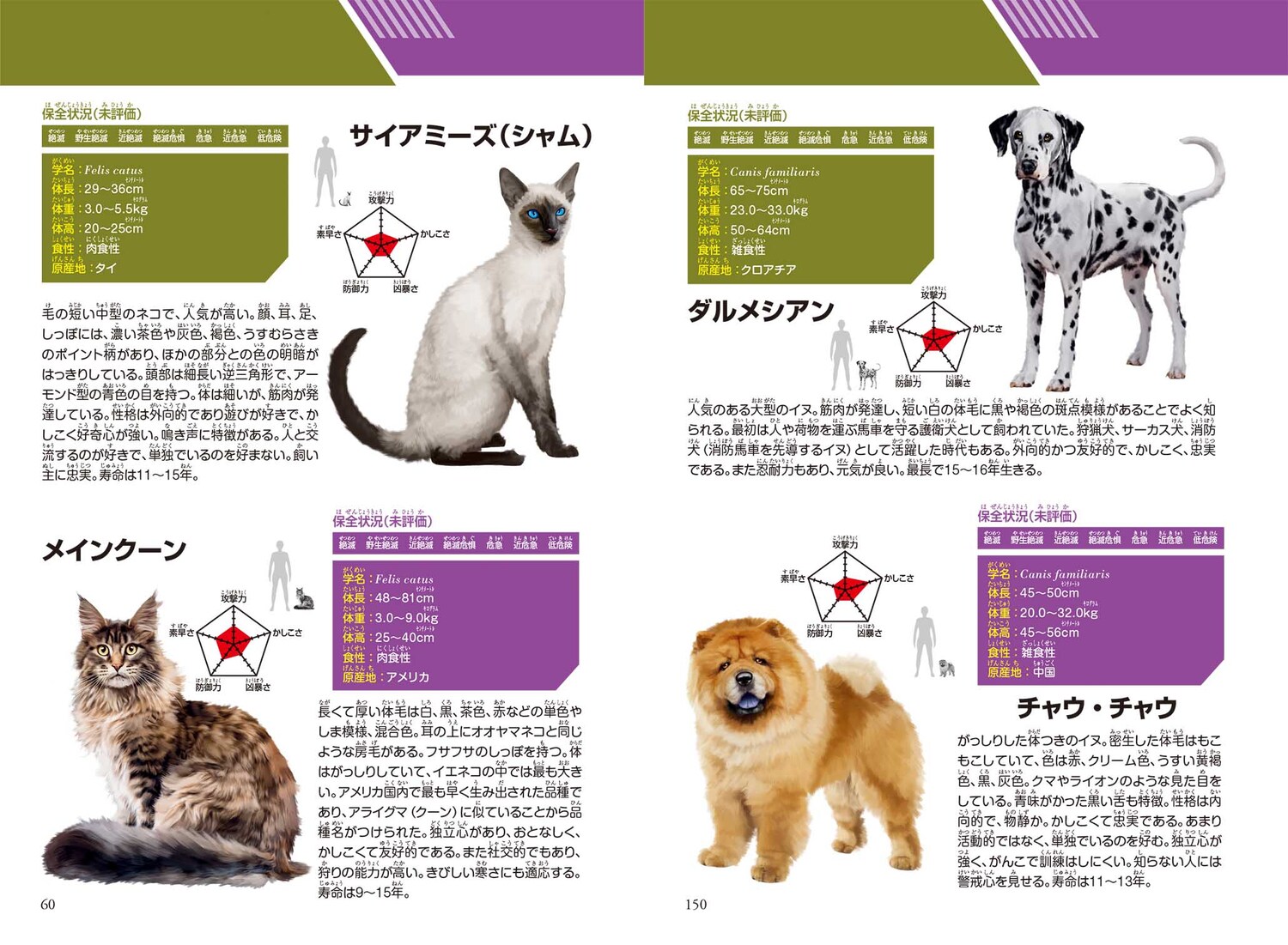 サムネイル画像7