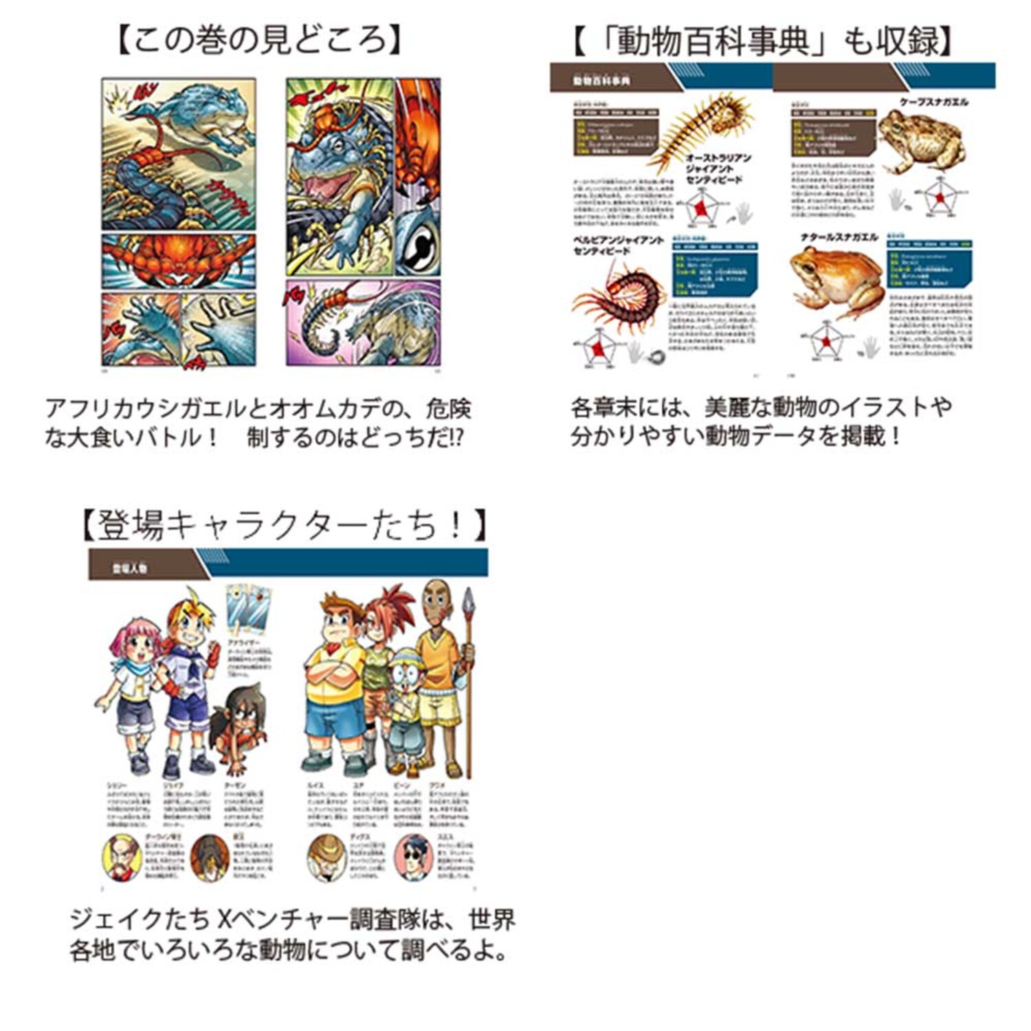 サムネイル画像3