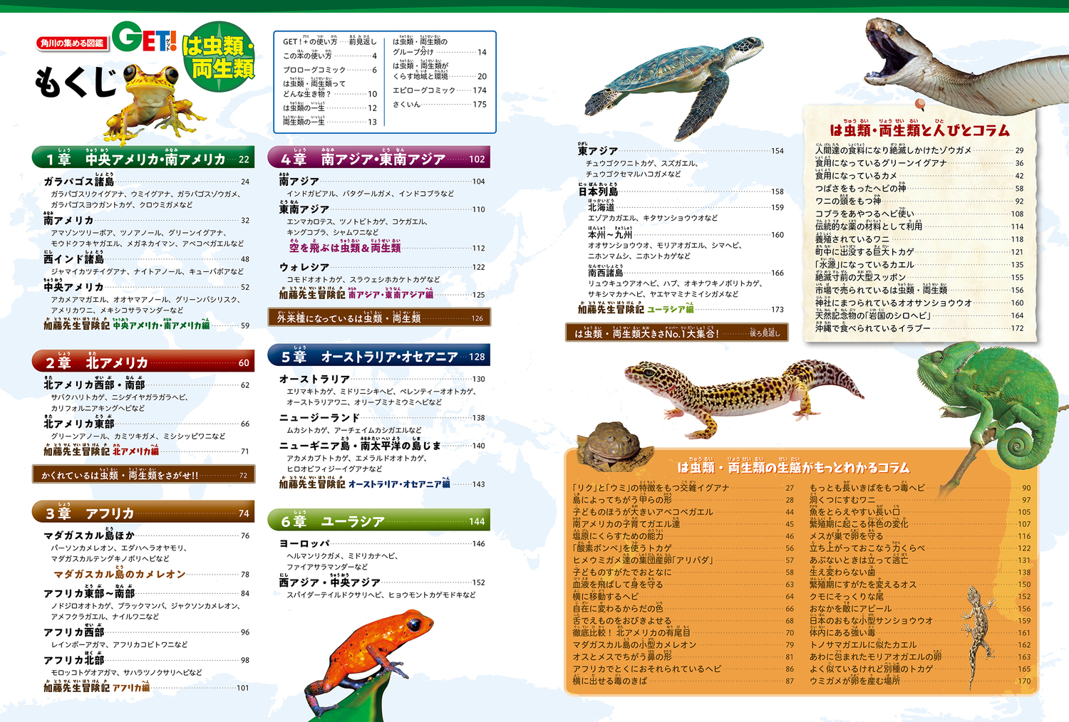サムネイル画像1