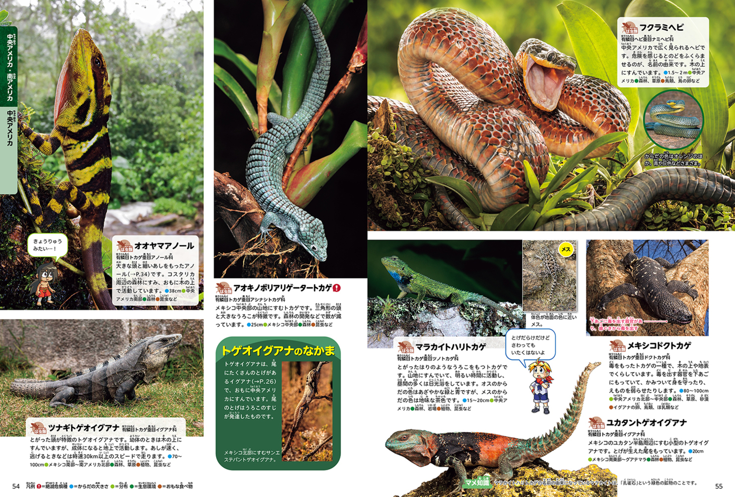 サムネイル画像4