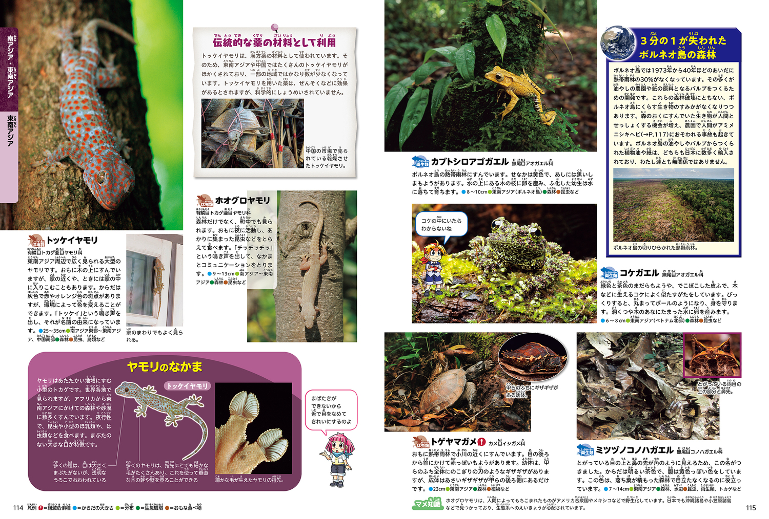 サムネイル画像5