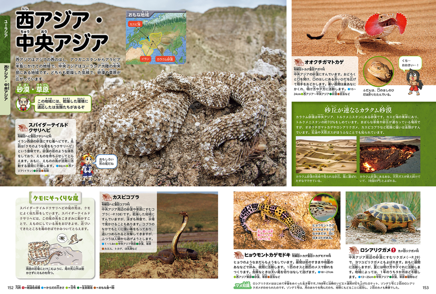サムネイル画像6