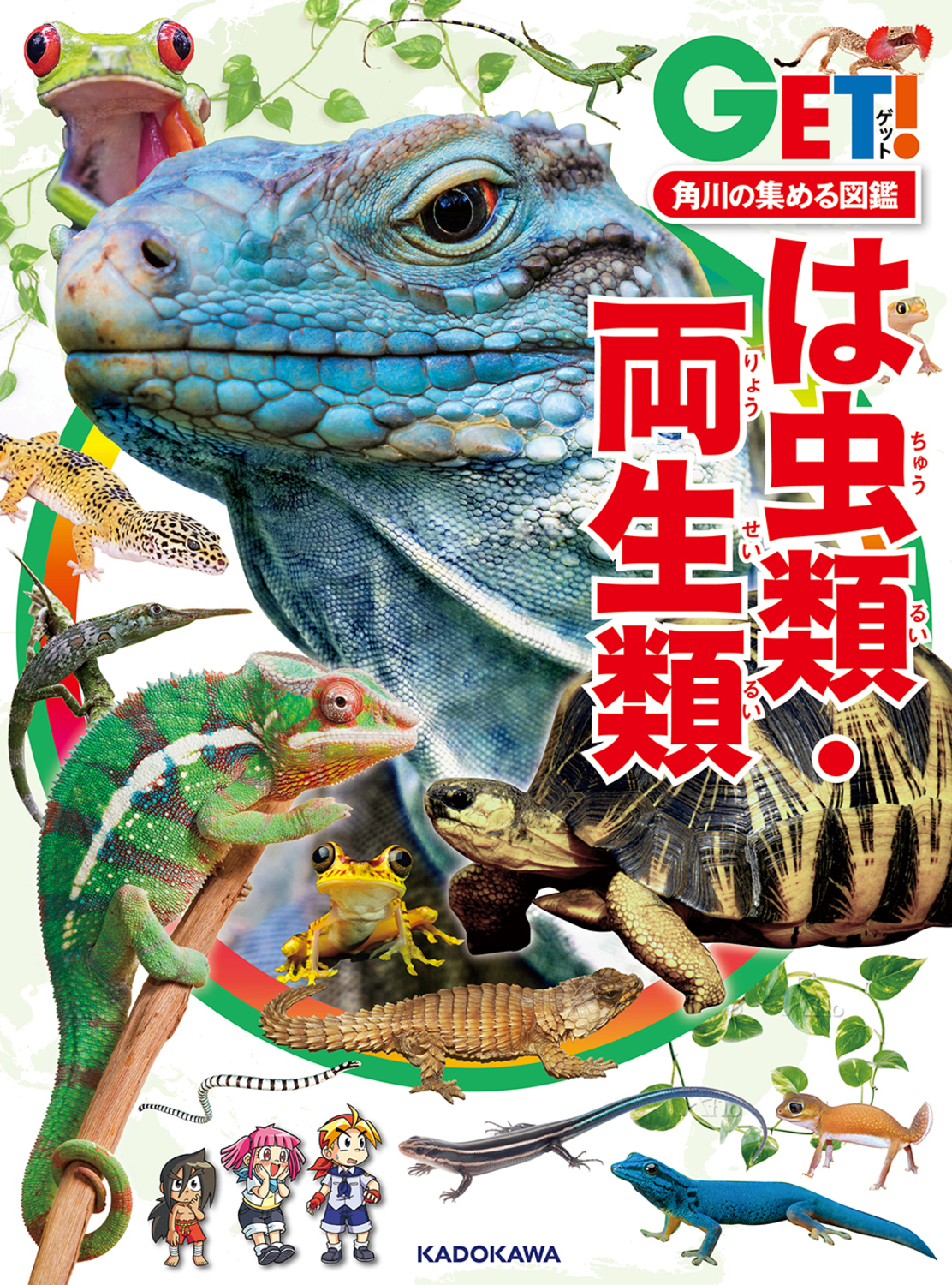 メイン画像