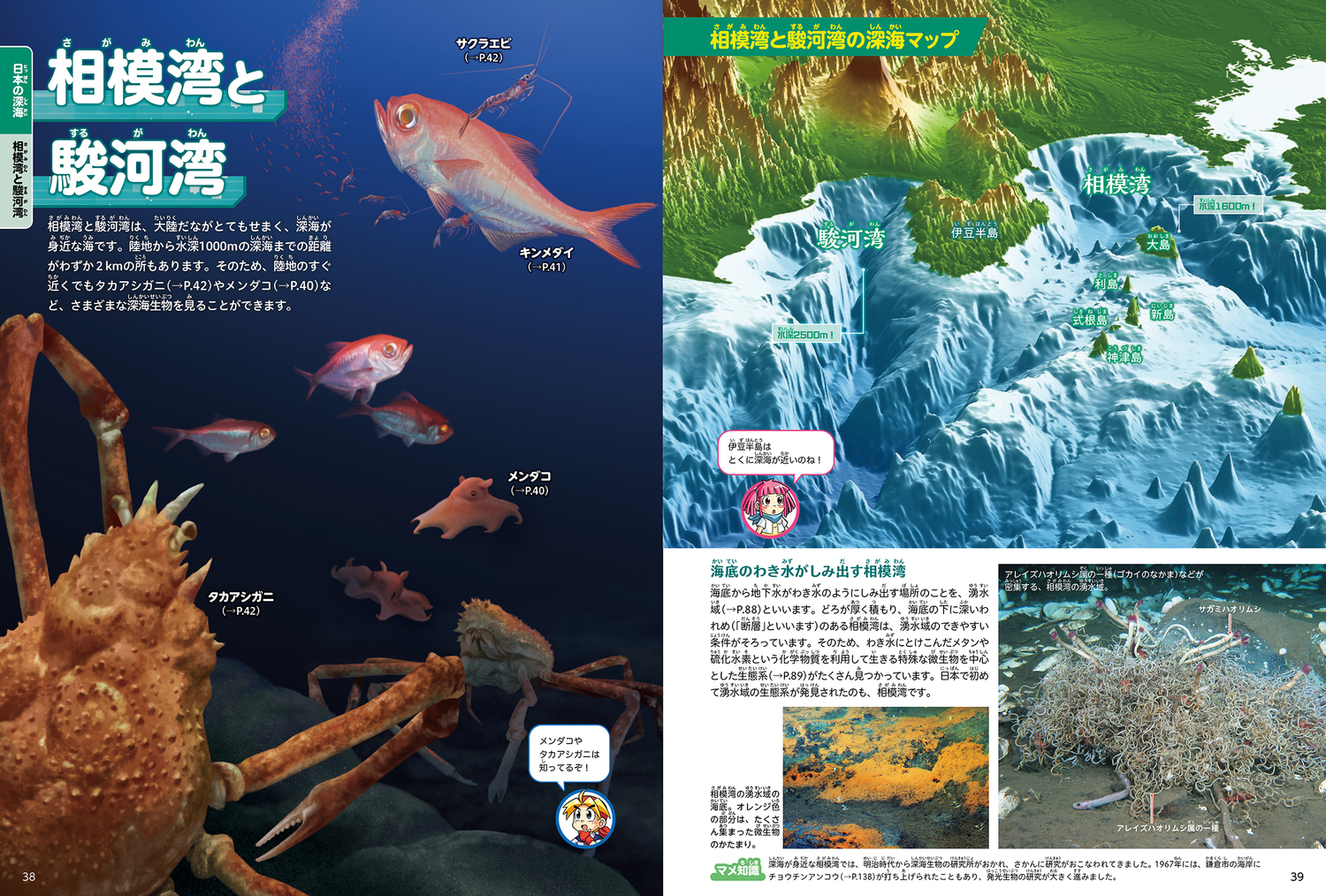 サムネイル画像3
