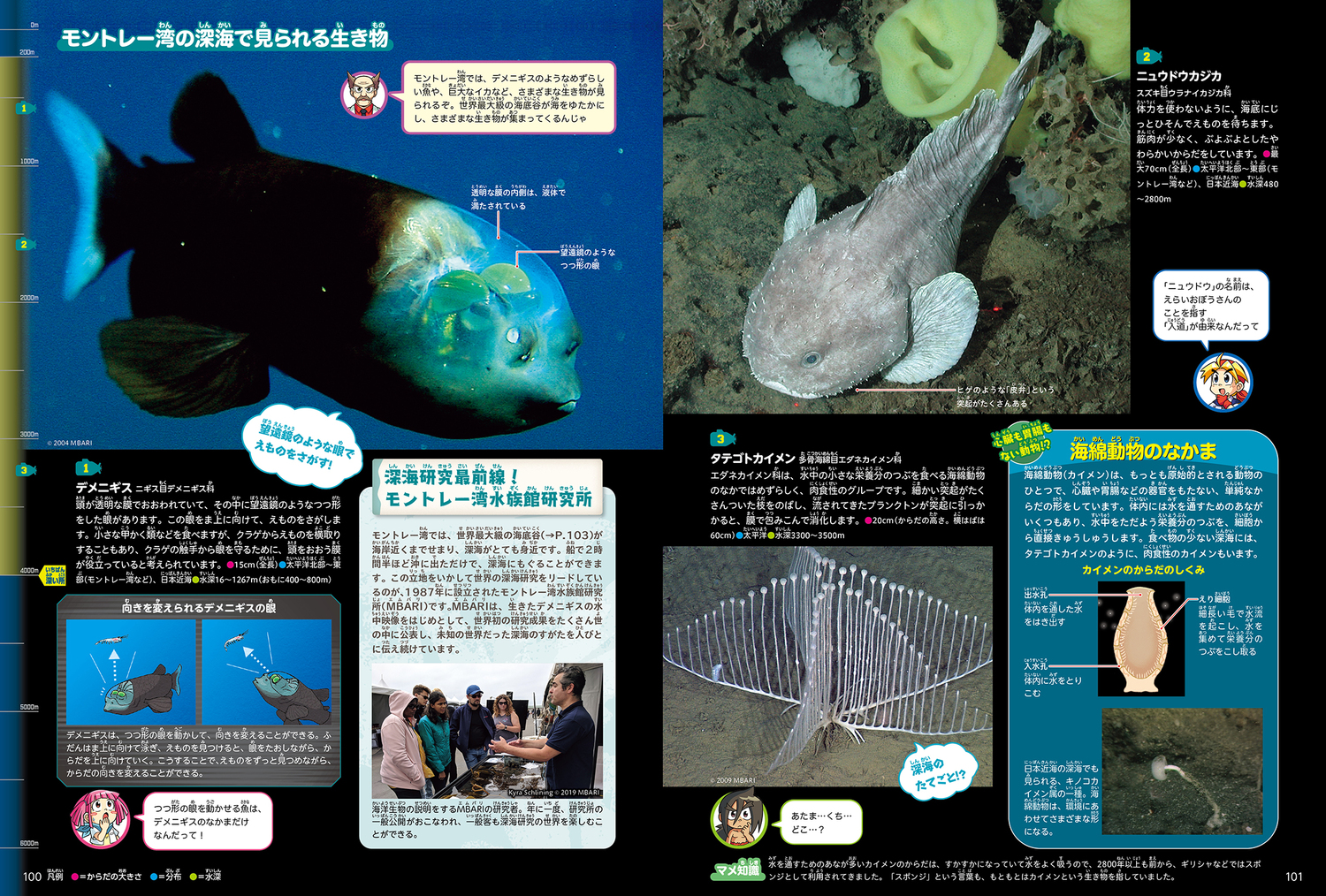 サムネイル画像5