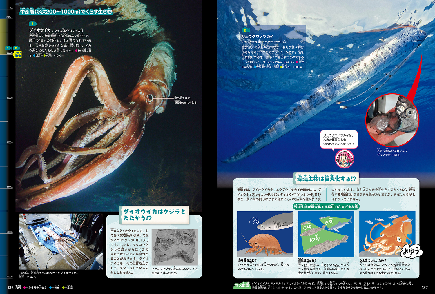サムネイル画像6