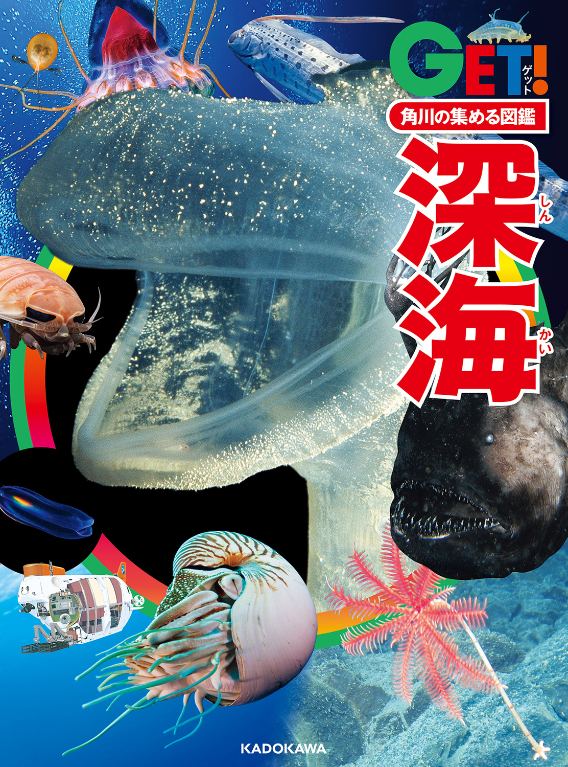 メイン画像