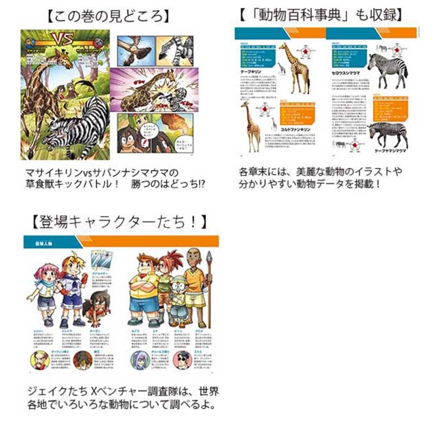 サムネイル画像3