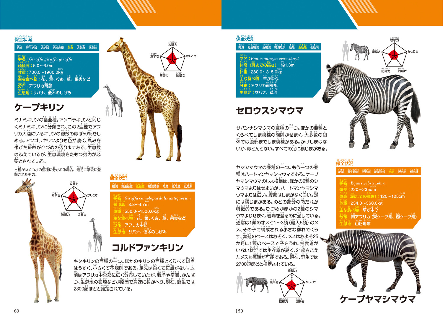サムネイル画像7