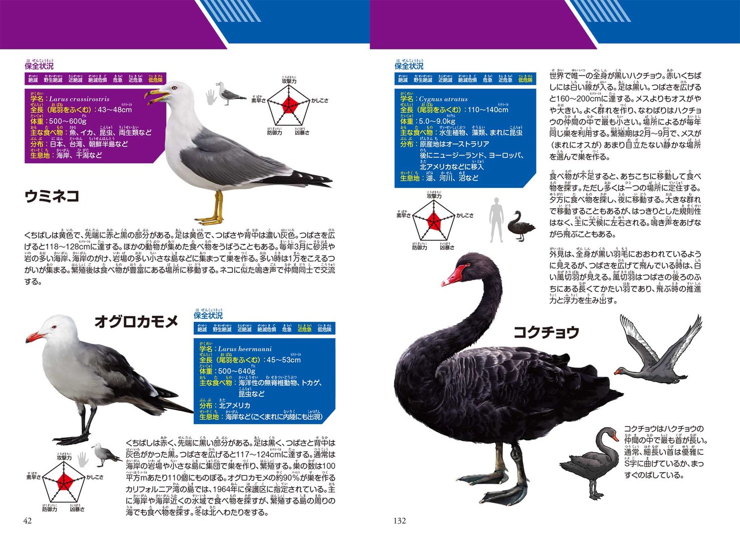 サムネイル画像6