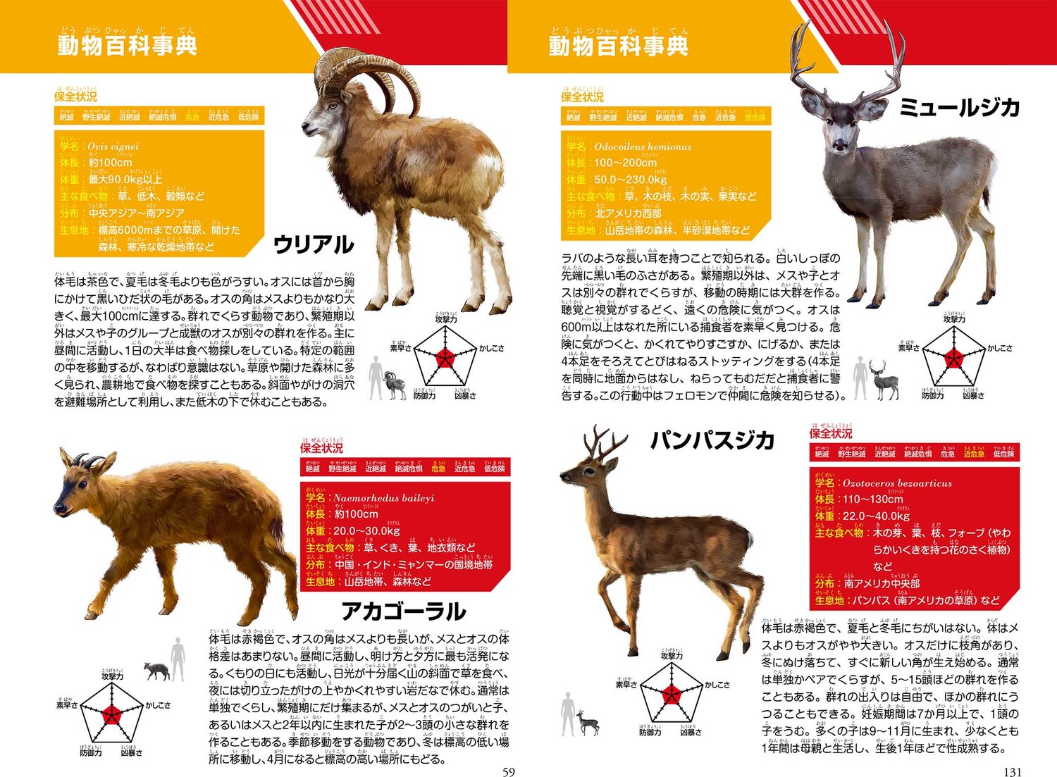 サムネイル画像6